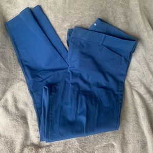 Mid-Rise Pixie Ankle Pants 16 Tall